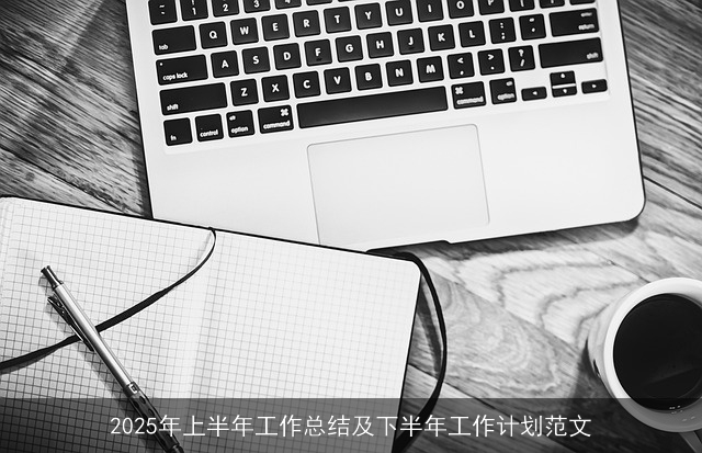 2025年上半年工作总结及下半年工作计划范文