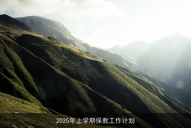 2025年上学期保教工作计划