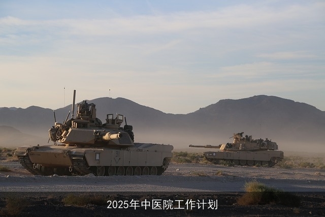 2025年中医院工作计划