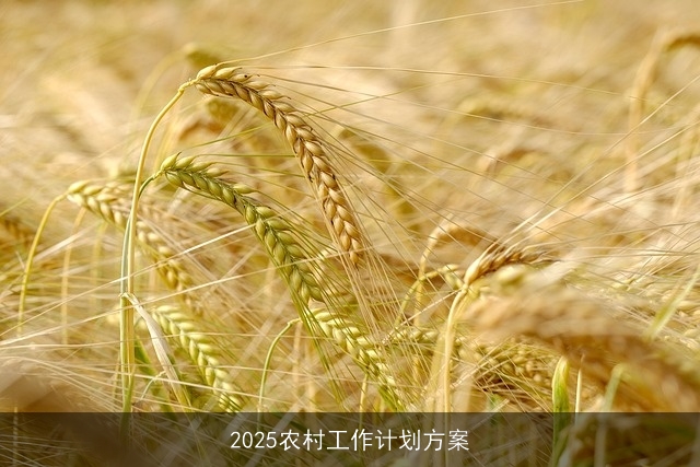 2025农村工作计划方案