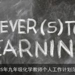 2025年九年级化学教师个人工作计划与教学策略