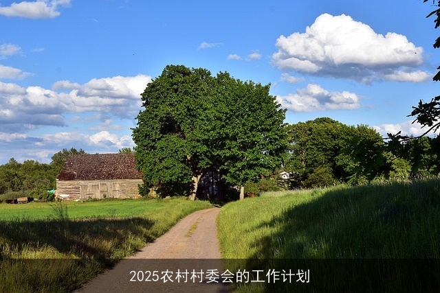 2025农村村委会的工作计划