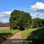 2025年乡村振兴战略下村委工作计划概览