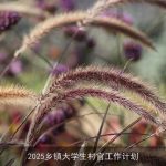 2025年乡村振兴：大学生村官行动计划与实施策略