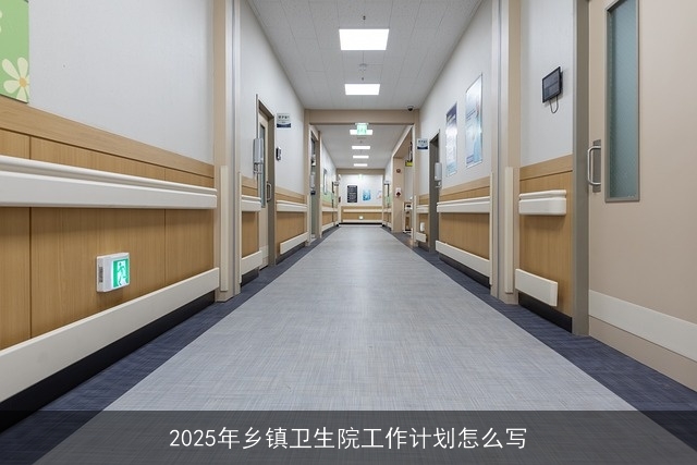 2025年乡镇卫生院工作计划怎么写