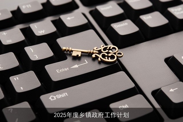2025年度乡镇政府工作计划