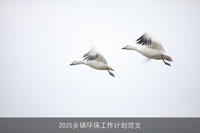2025乡镇环保工作计划范文