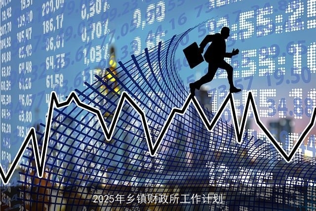 2025年乡镇财政所工作计划