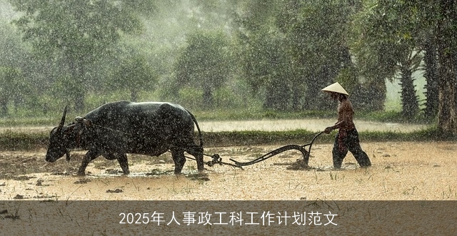 2025年人事政工科工作计划范文