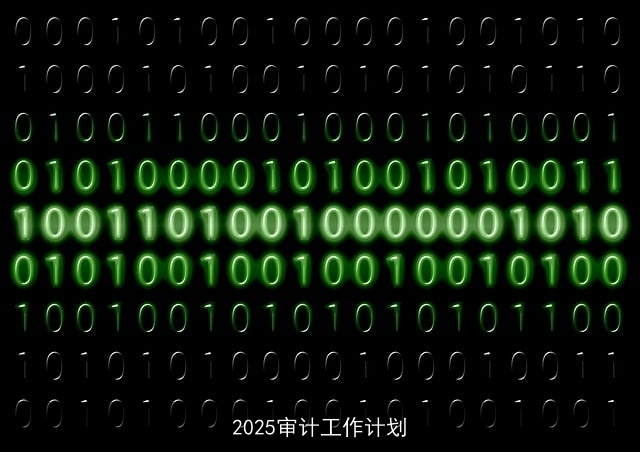 2025审计工作计划
