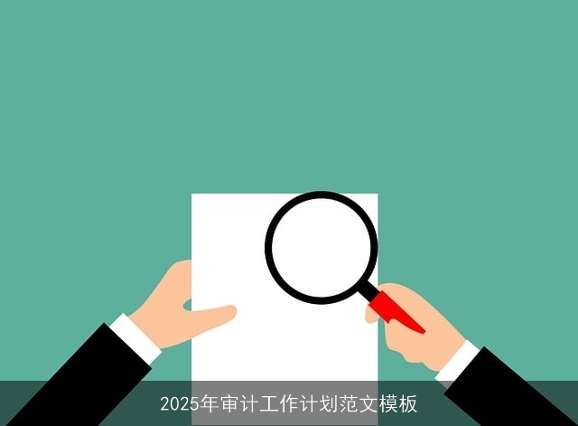 2025年审计工作计划范文模板