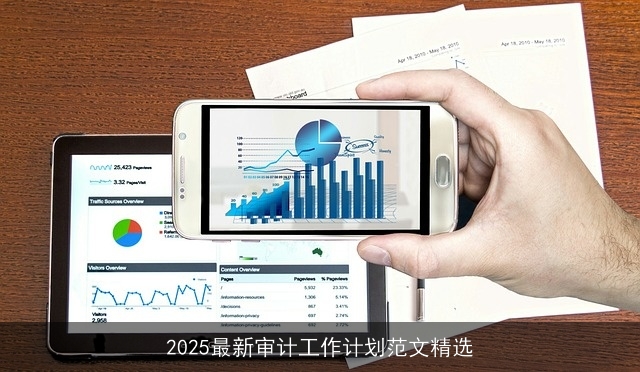 2025最新审计工作计划范文精选