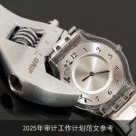 2025年企业审计工作计划范文：全面保障财务健康与合规运营