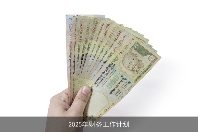 2025年财务工作计划