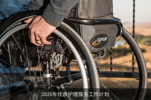 2025年优质护理服务工作计划