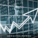 2025年会计部门工作计划：目标、策略与行动