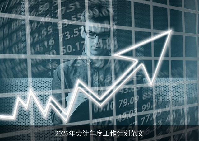 2025年会计年度工作计划范文