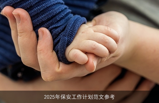 2025年保安工作计划范文参考
