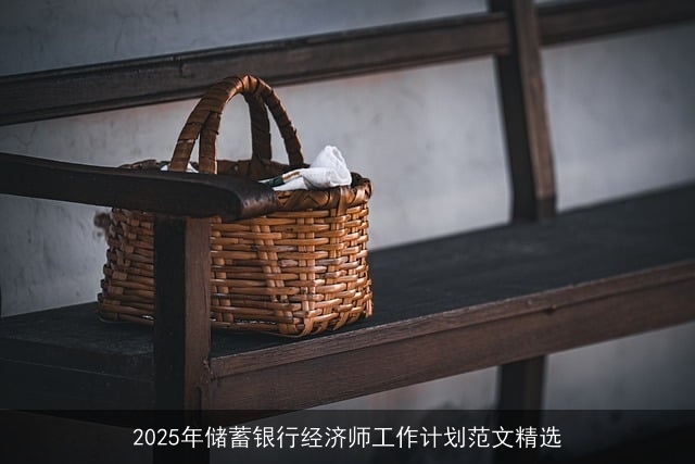 2025年储蓄银行经济师工作计划范文精选