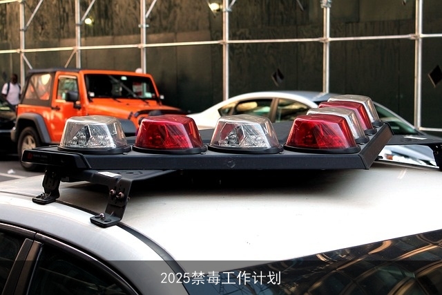 2025禁毒工作计划