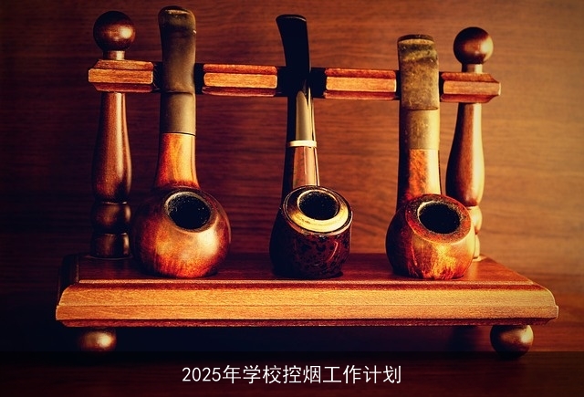 2025年学校控烟工作计划