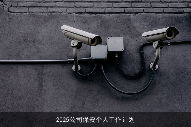 2025公司保安个人工作计划