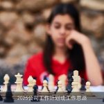 2025年公司发展战略与工作规划概览