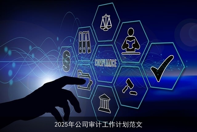 2025年公司审计工作计划范文