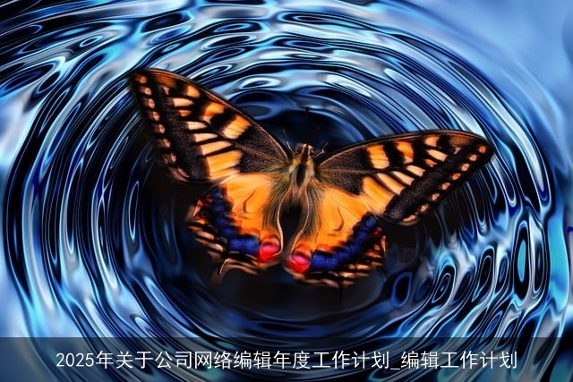 2025年关于公司网络编辑年度工作计划_编辑工作计划