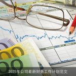 2025年公司财务工作计划：目标设定与执行策略