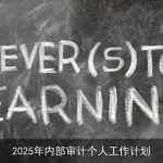 2025年内部审计个人发展计划与目标设定