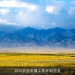 2025年农业发展工作计划：构建高效可持续现代农业体系