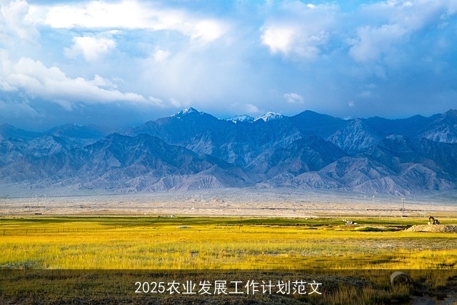 2025农业发展工作计划范文