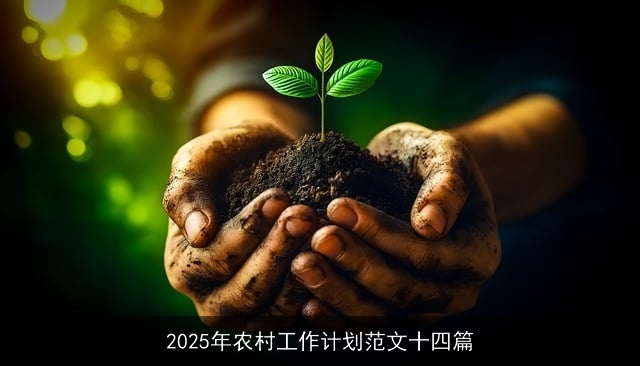 2025年农村工作计划范文十四篇