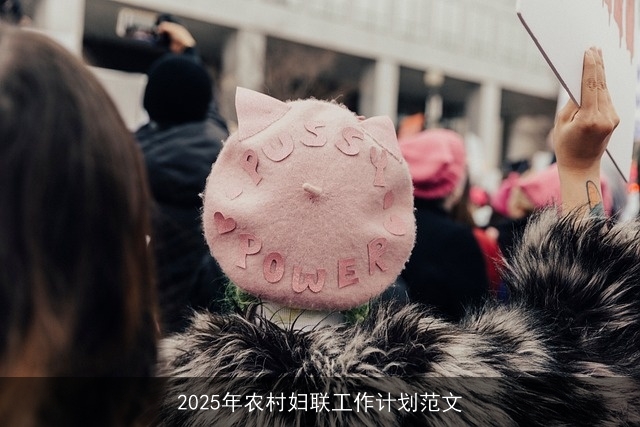 2025年农村妇联工作计划范文