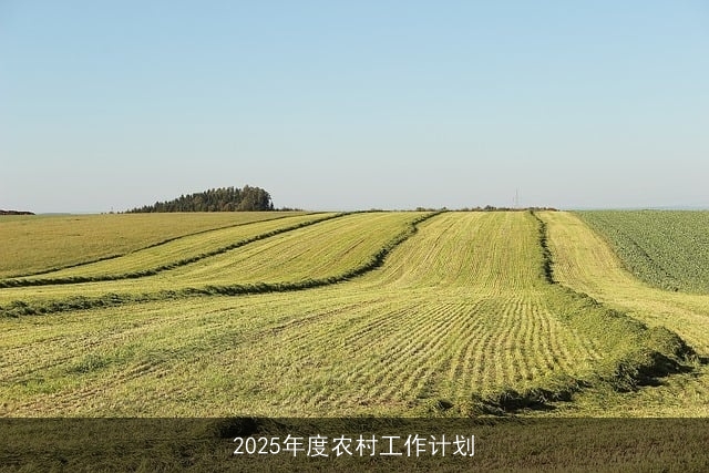 2025年度农村工作计划