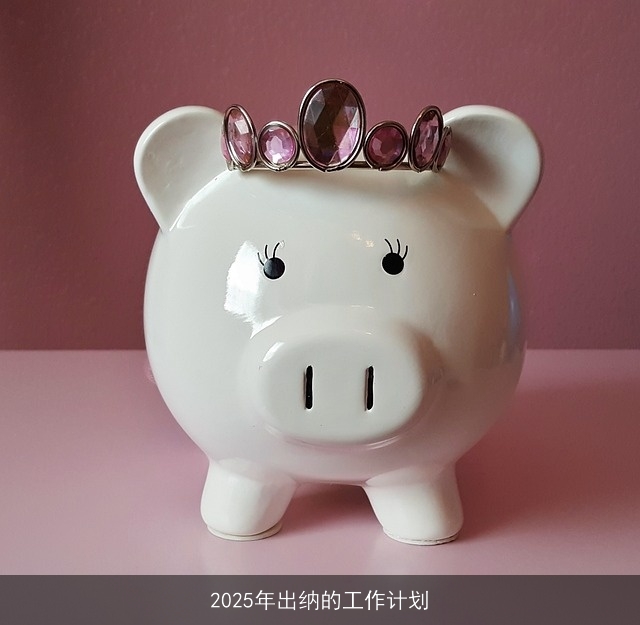 2025年出纳的工作计划