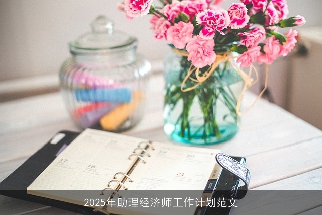 2025年助理经济师工作计划范文