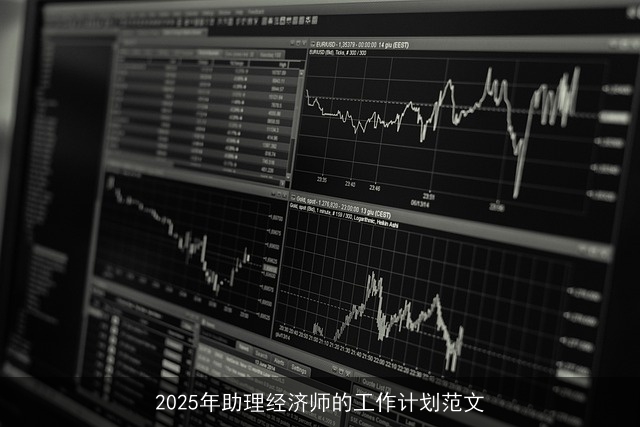 2025年助理经济师的工作计划范文