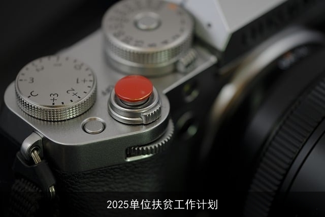 2025单位扶贫工作计划