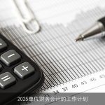 2025年单位财务会计工作计划：数字化转型与内部控制强化