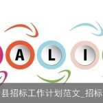 2025年县域招标工作计划：提升透明度，优化流程，推动高质量发展