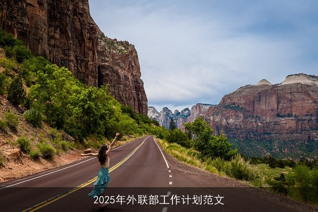 2025年外联部工作计划范文