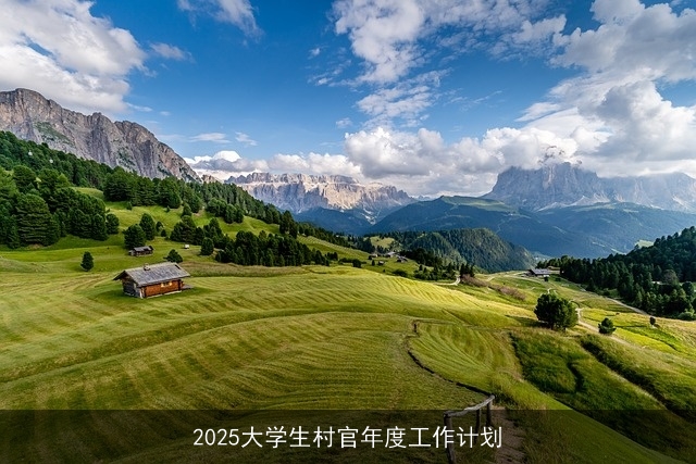 2025大学生村官年度工作计划