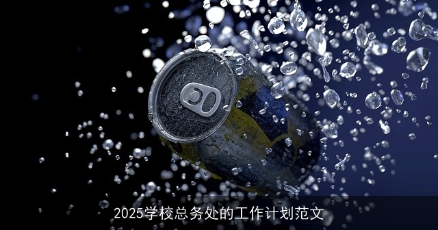 2025学校总务处的工作计划范文