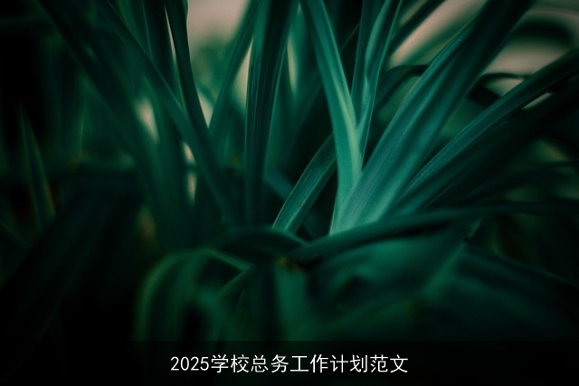 2025学校总务工作计划范文