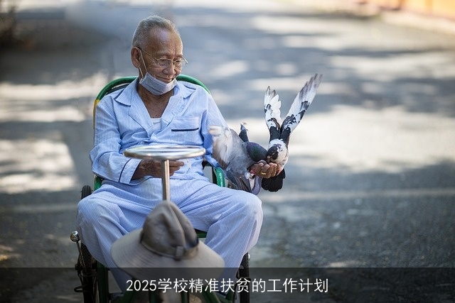 2025学校精准扶贫的工作计划