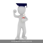 2025年安康农村小学全面升级工作计划