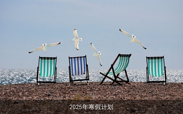 2025年寒假计划