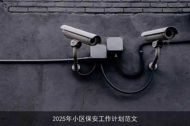 2025年小区保安工作计划范文